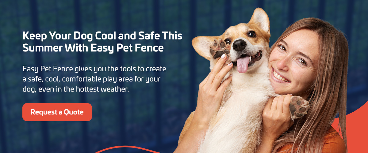 Keep Your Dog Cool and Safe This Summer With Easy Pet Fence