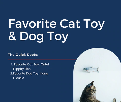 Favorite Cat Toy and Dog Toy